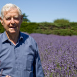 vegan product lavender nz new zealand